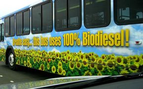 Europa de Est, sursa de biocombustibili