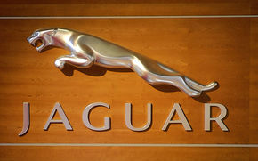 Jaguar ramane constructor de nisa