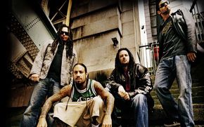 Rockerii de la Korn, prieteni cu mediul