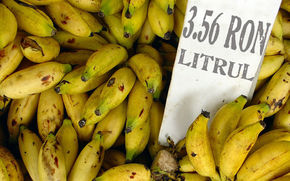 Combustibil ecologic din coji de banane