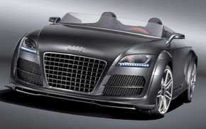 Audi confirma productia lui TT Speedster