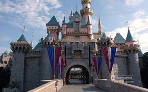 Disneyland, alternativa pentru MP al Frantei