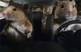 VIDEO: O armata de hamsteri promoveaza Kia Soul