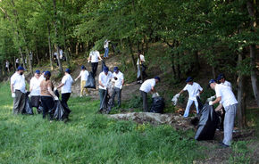 Angajatii Dacia au curatat o parte din padurea Budeasa