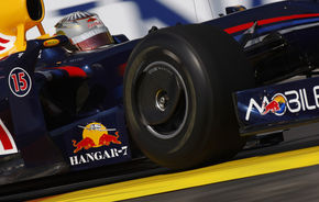 Red Bull, indecisi in privinta furnizorului de motoare