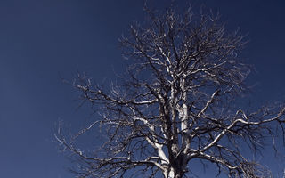 Test drive Mitsubishi ASX (2010) - Poza 11