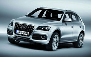 Audi ar putea realiza două versiuni sportive ale lui Q5