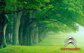 Citroen va planta câte 10 copaci pentru fiecare echipaj de la Raliul Sibiului