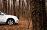 Test drive BMW X6 (2008-2012) - Poza 6