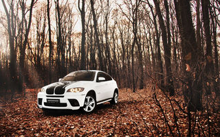 Test drive BMW X6 (2008-2012) - Poza 1