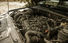 Test drive Volkswagen Amarok (2011-2016) - Poza 25