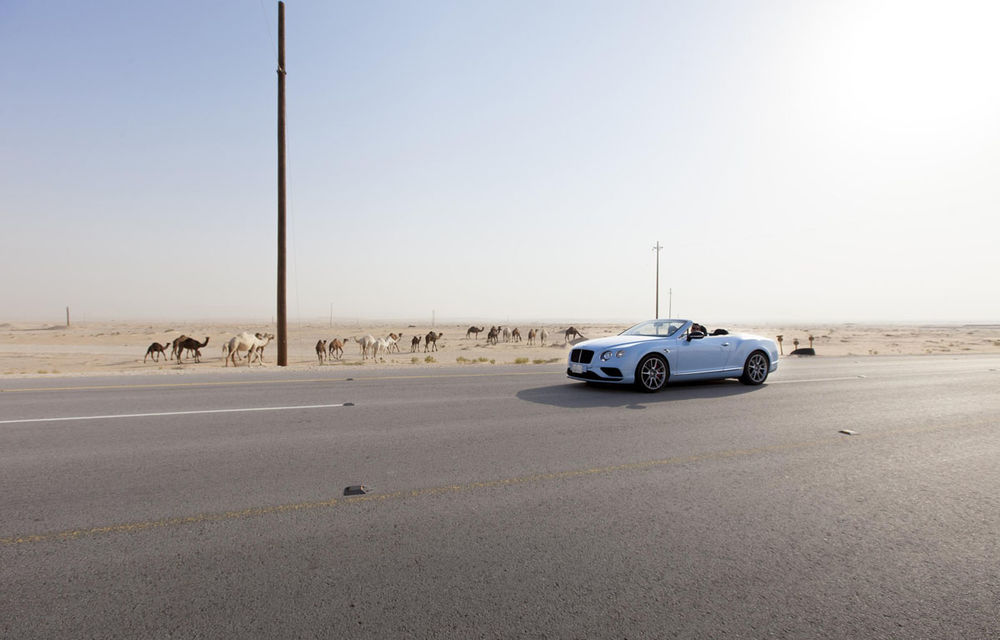 Duel nebun: Bentley Continental GT vs. un tren saudit, 480 de kilometri prin deşert. &quot;A fost o cursă cum nu s-a mai văzut&quot; - Poza 2