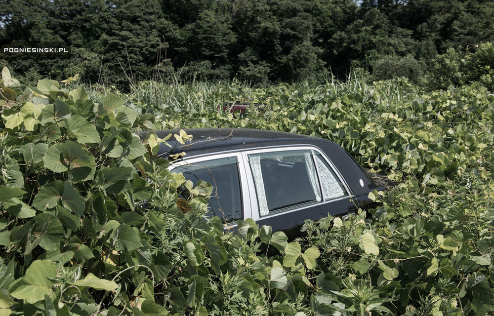 Fukushima, 4 ani şi jumătate după dezastru: maşinile au pierdut lupta cu natura, care a pus stăpânire pe zona contaminată - Poza 3