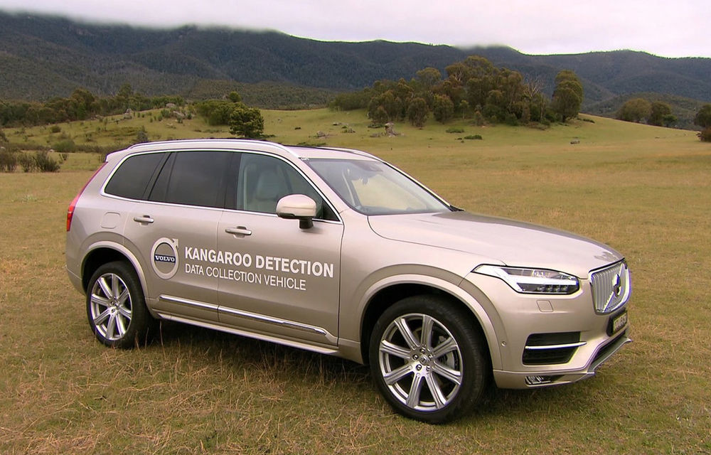 Pionierul siguranței auto lovește din nou: Volvo dezvoltă un sistem de evitare a cangurilor - Poza 1
