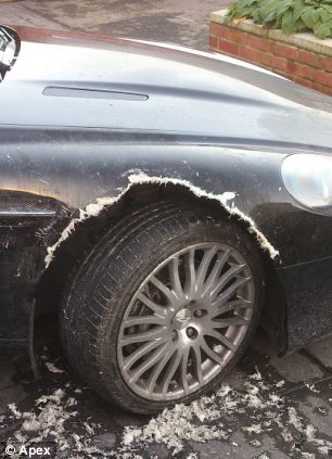 Câinii stresați poftesc la mașini scumpe: un englez și-a găsit supercarul fără aripa față - Poza 4