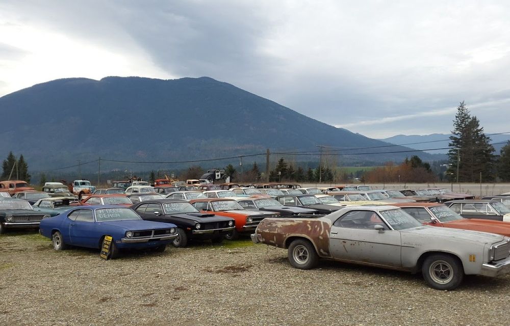 Ofertă de nerefuzat: un canadian vinde terenurile sale la pachet cu o colecție de 340 de mașini clasice - Poza 19