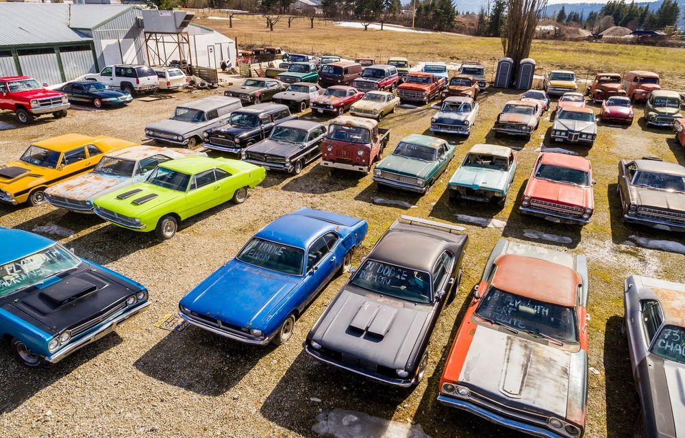 Ofertă de nerefuzat: un canadian vinde terenurile sale la pachet cu o colecție de 340 de mașini clasice - Poza 6