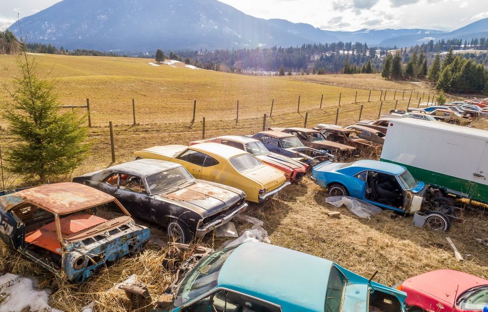 Ofertă de nerefuzat: un canadian vinde terenurile sale la pachet cu o colecție de 340 de mașini clasice - Poza 9
