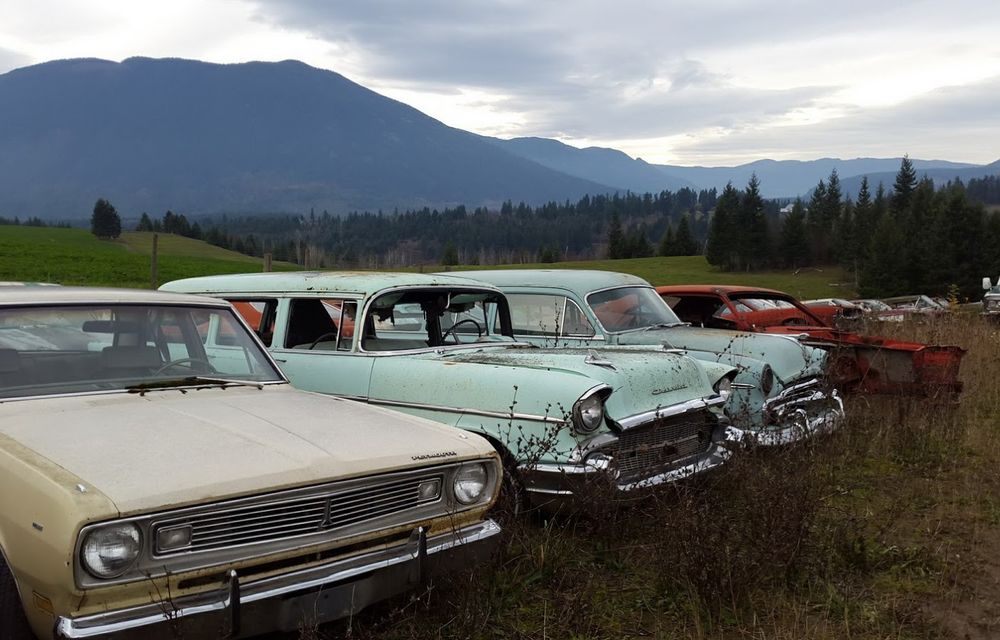 Ofertă de nerefuzat: un canadian vinde terenurile sale la pachet cu o colecție de 340 de mașini clasice - Poza 5