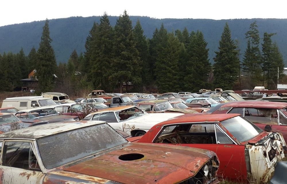Ofertă de nerefuzat: un canadian vinde terenurile sale la pachet cu o colecție de 340 de mașini clasice - Poza 14