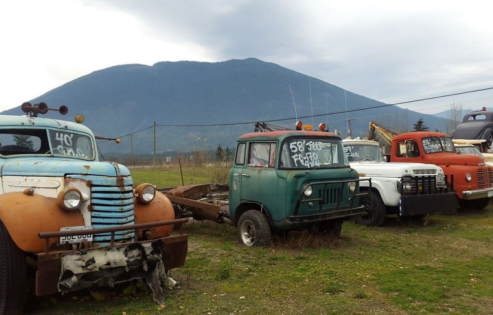 Ofertă de nerefuzat: un canadian vinde terenurile sale la pachet cu o colecție de 340 de mașini clasice - Poza 15