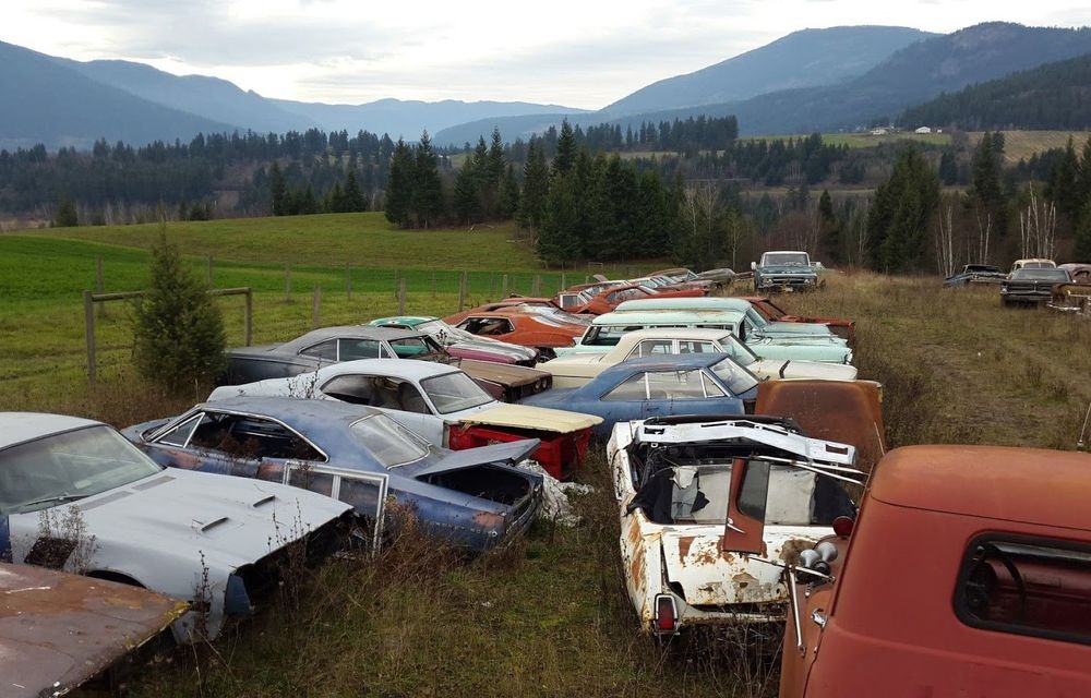 Ofertă de nerefuzat: un canadian vinde terenurile sale la pachet cu o colecție de 340 de mașini clasice - Poza 16