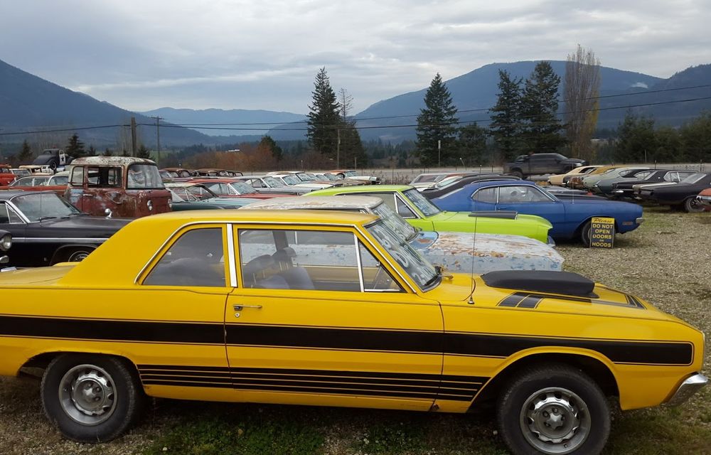 Ofertă de nerefuzat: un canadian vinde terenurile sale la pachet cu o colecție de 340 de mașini clasice - Poza 2