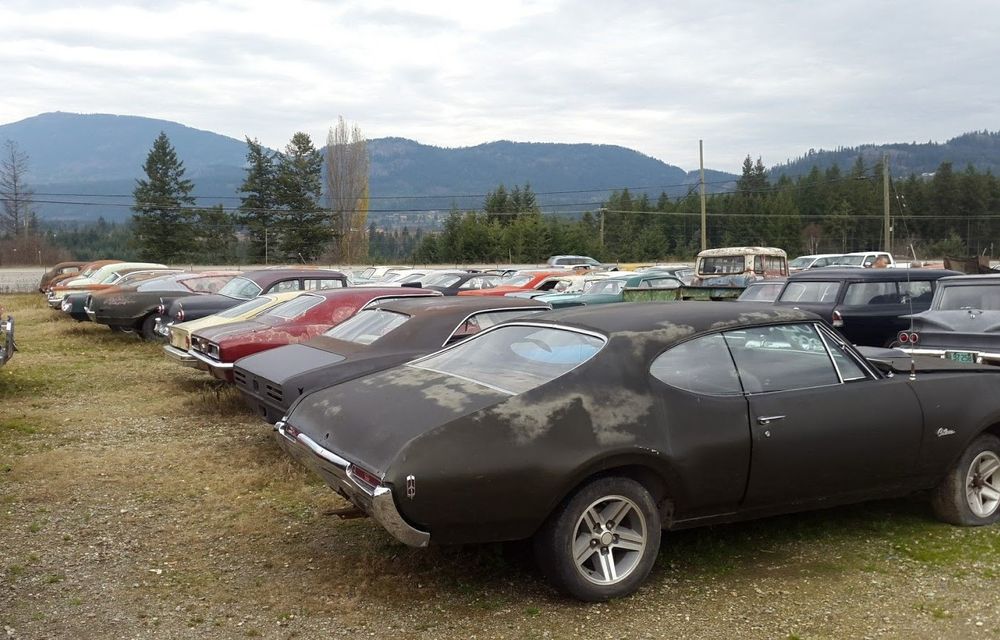Ofertă de nerefuzat: un canadian vinde terenurile sale la pachet cu o colecție de 340 de mașini clasice - Poza 13