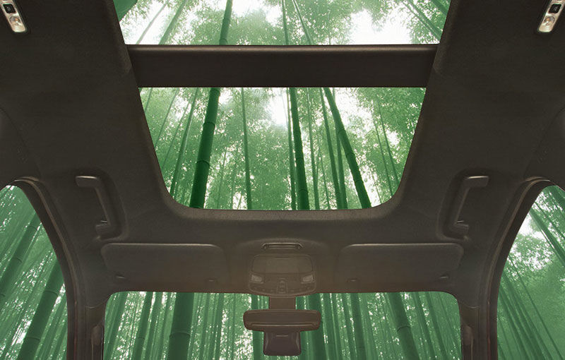 Ford aduce natura în mașinile sale: americanii vor folosi bambus pentru interior - Poza 1