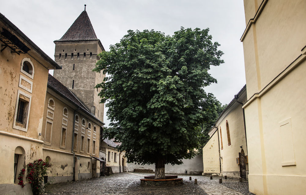 Un german in Transilvania: povestea vinului de la Jidvei și Cetatea de Baltă, surpriza de la Blaj și recordurile catedralei din Alba Iulia - Poza 21