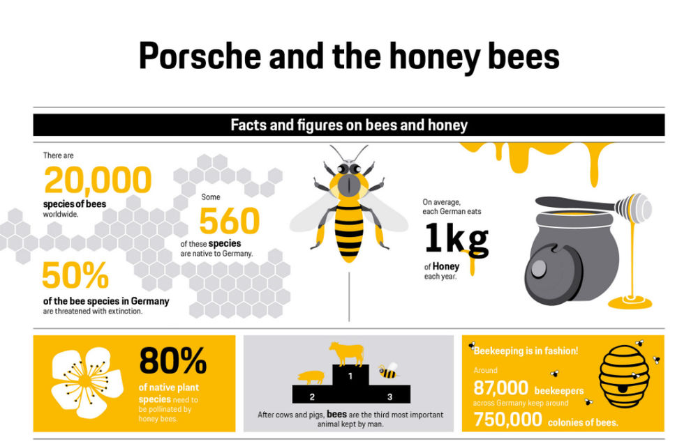 Prima recoltă de miere din 2018 pentru Porsche: constructorul are 3 milioane de albine în Leipzig și vinde mierea colectată în Germania - Poza 2