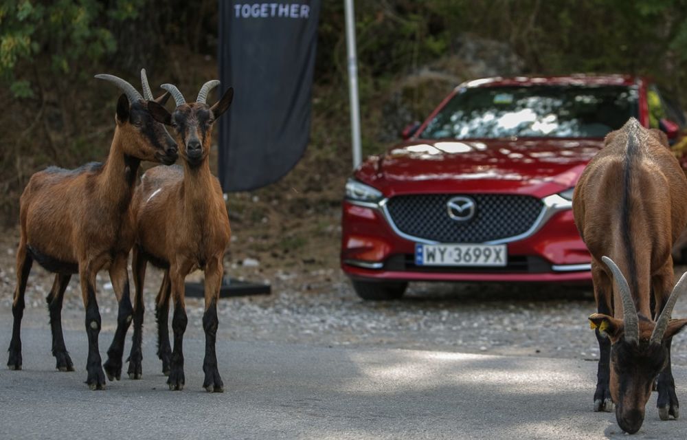 Amintiri din Muntenegru: Mazda a lansat versiunile 2018 ale modelelor sale în noua țară-senzație a Adriaticii - Poza 55