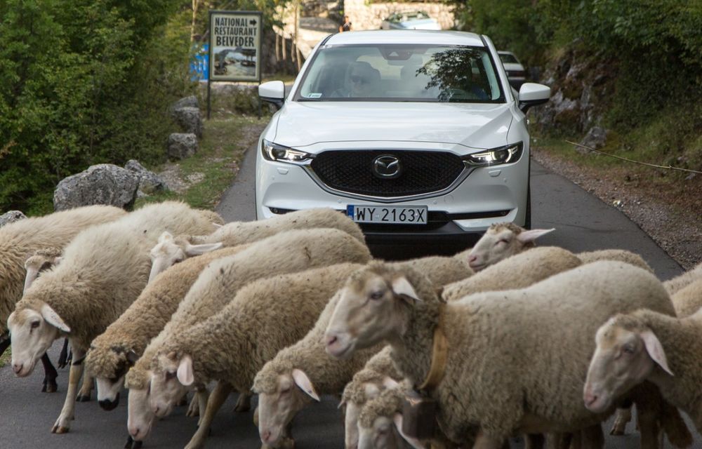Amintiri din Muntenegru: Mazda a lansat versiunile 2018 ale modelelor sale în noua țară-senzație a Adriaticii - Poza 69