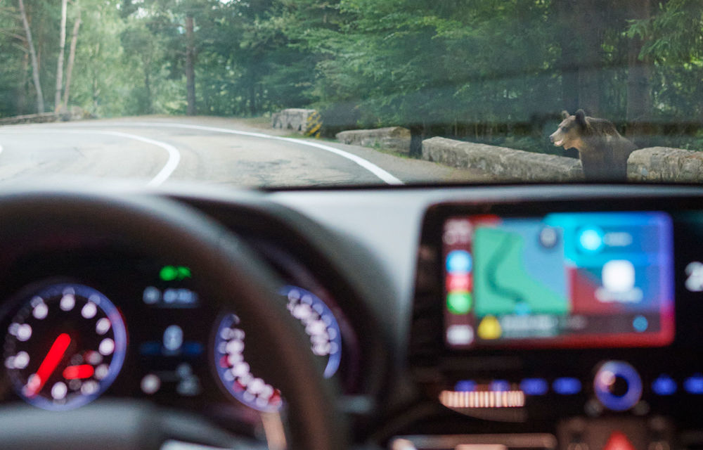 FOTOREPORTAJ: O dimineață cu Hyundai i30 Fastback N pe Transfăgărășan - Poza 59