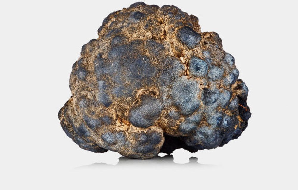 Roci cu metale rare au fost descoperite pe fundul Oceanului Pacific. Ele vor fi folosite pentru bateriile mașinilor electrice - Poza 1