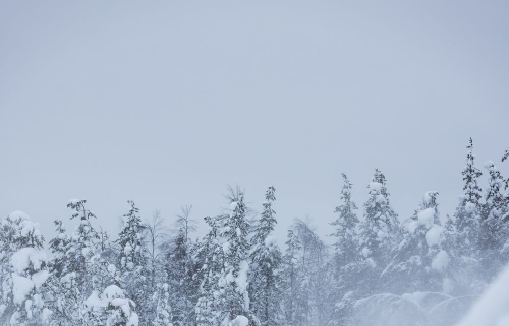 Polestar deschide un showroom din zăpadă în interiorul Cercului Arctic - Poza 10
