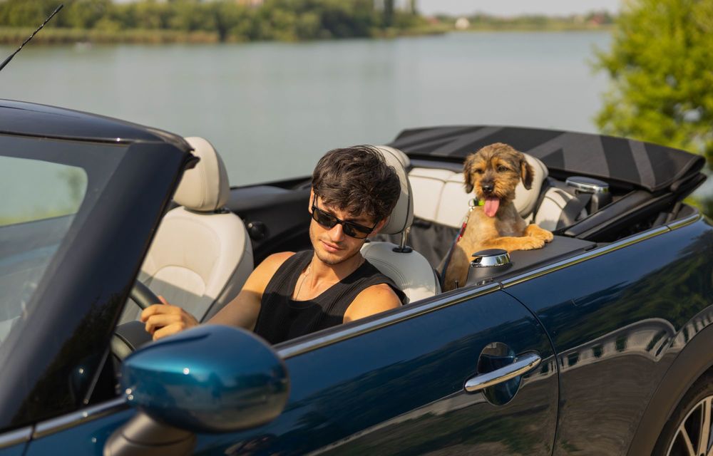 BMW se implică în adopția câinilor fără stăpân din România - Poza 10
