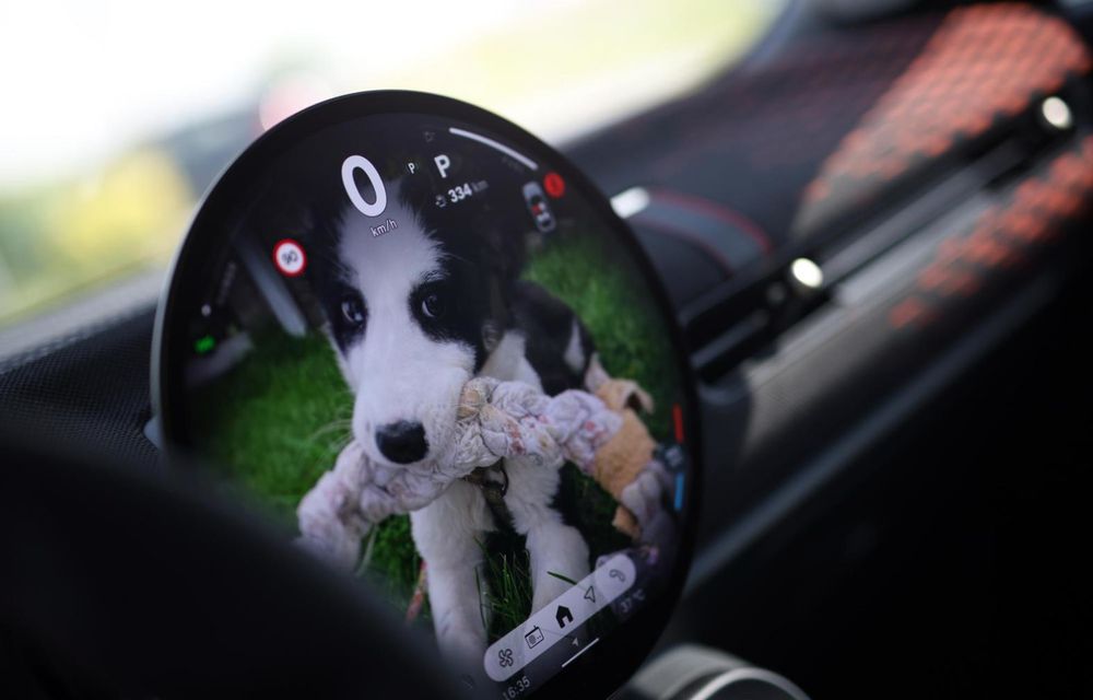 REPORTAJ: Din dragoste pentru animale, alături de noile Mini Cooper și Countryman - Poza 1