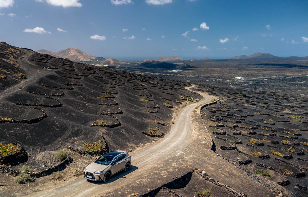 Noul Lexus NX Overtrail: versiune de teren cu suspensie înălțată - Poza 10