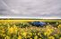 Test drive Renault Rafale - Poza 46