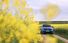 Test drive Renault Rafale - Poza 55