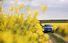 Test drive Renault Rafale - Poza 56
