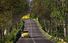 Test drive Ford Puma - Poza 82