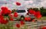 Test drive Volvo XC90 facelift - Poza 14