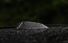 Test drive BMW M3 Competition facelift - Poza 19