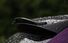 Test drive BMW M3 Competition facelift - Poza 18