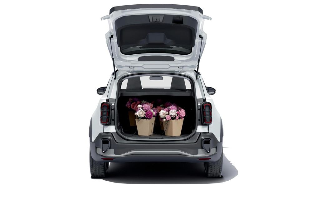 Noul Renault 4 E-Tech Societe Van: variantă utilitară pentru piața franceză - Poza 8