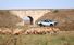 Test drive Ford Ranger - Poza 19