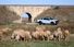 Test drive Ford Ranger - Poza 20
