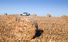 Test drive Ford Ranger - Poza 26